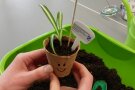Florale Objektgestaltung